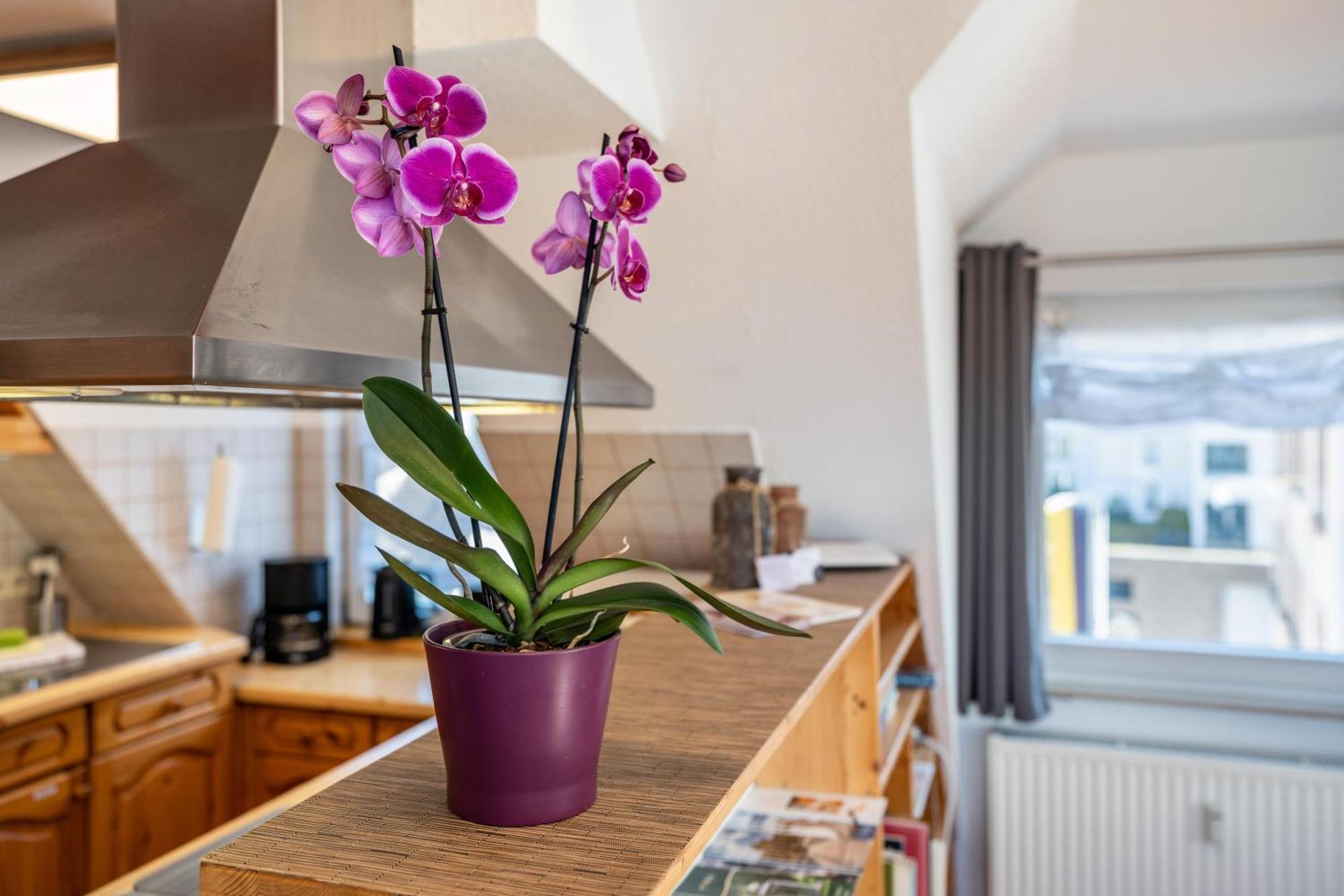 Ferienwohnung Schwarzwaldnest Bad Wildbad Exterior foto